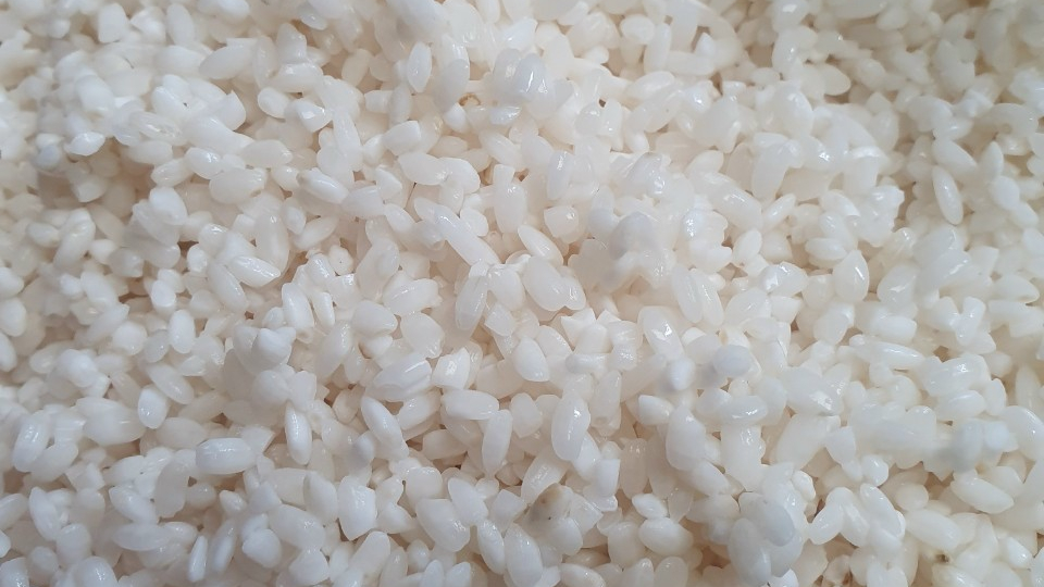 Đặc điểm và nguồn gốc của gạo nếp cau